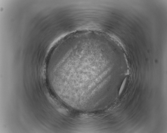 X0000085310680200703231924