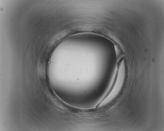 X0000085310681200703231924