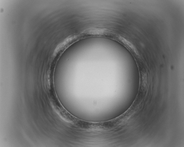 X0000085310682200703231924