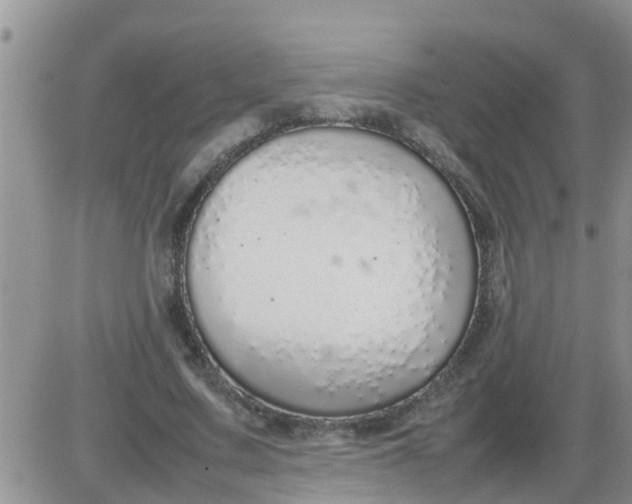 X0000085310683200703231924