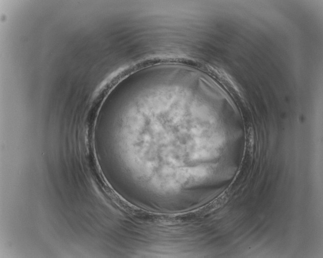 X0000085310684200703231924