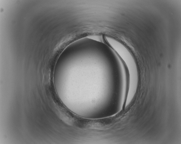 X0000085310685200703231924