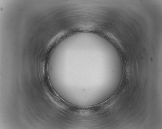 X0000085310686200703231924