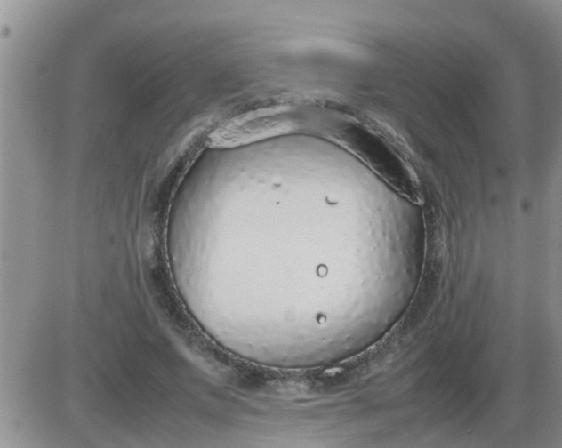 X0000085310687200703231924