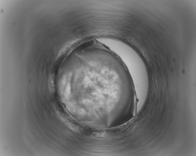 X0000085310688200703231924