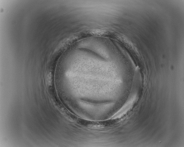 X0000085310689200703231924