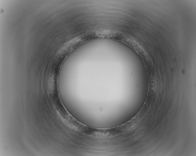 X0000085310690200703231924