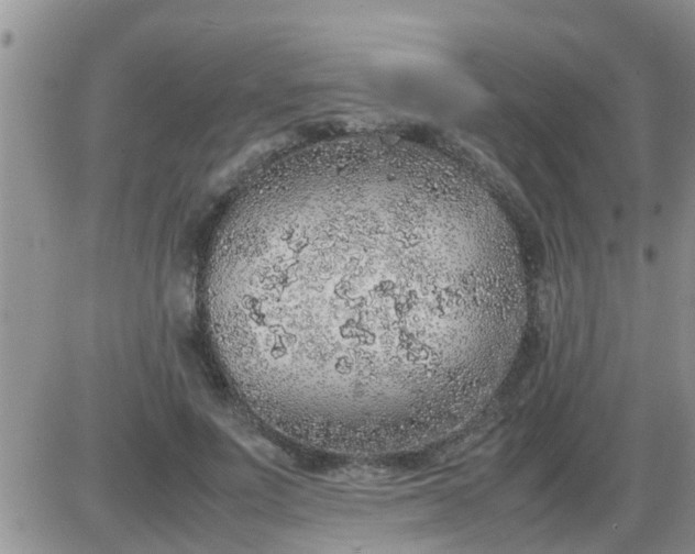 X0000085310691200703231924