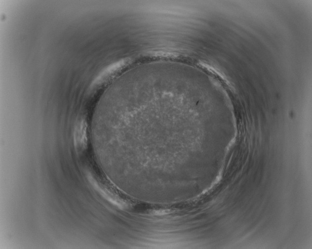 X0000085310692200703231924