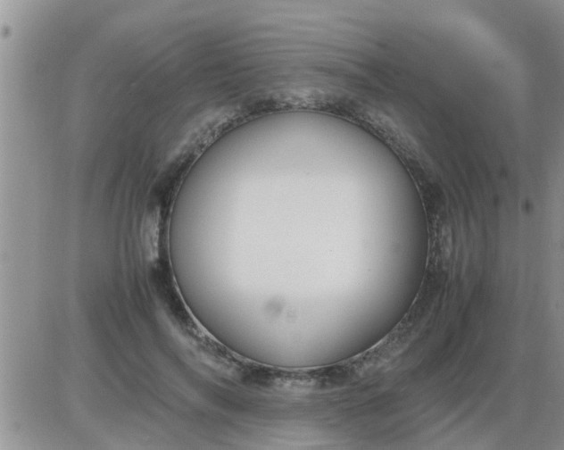 X0000085310694200703231924