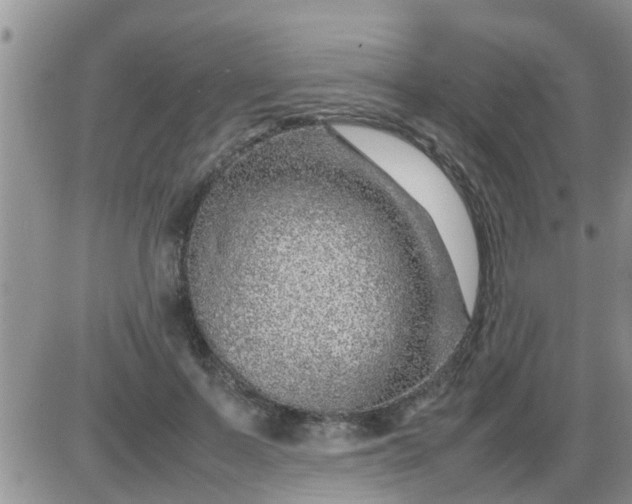 X0000085310695200703231924