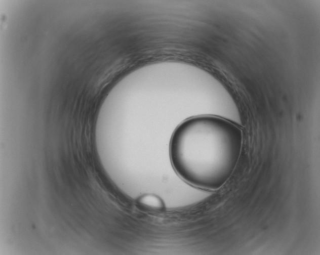 X0000085310696200703231924