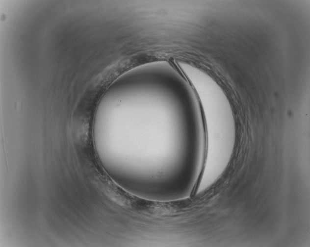 X0000085310697200703231924