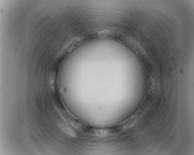 X0000085310698200703231924