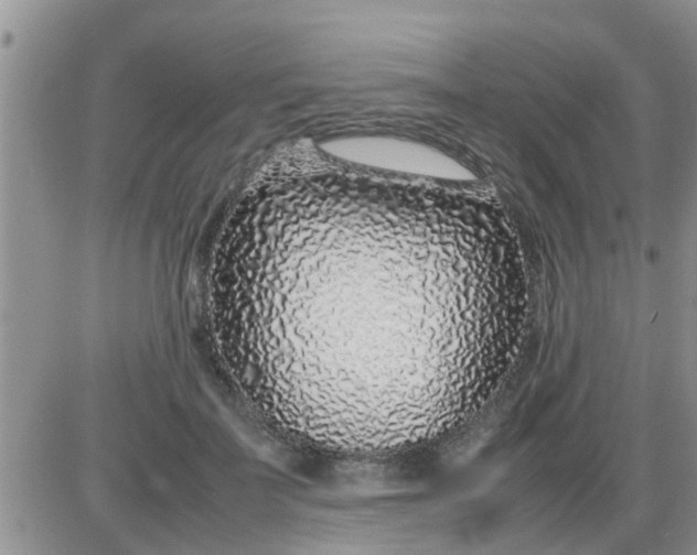 X0000085310699200703231924