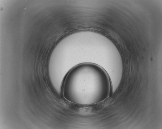 X0000085310700200703231924