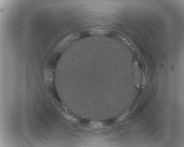 X0000085310701200703231924