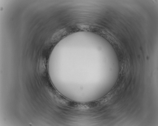 X0000085310702200703231924