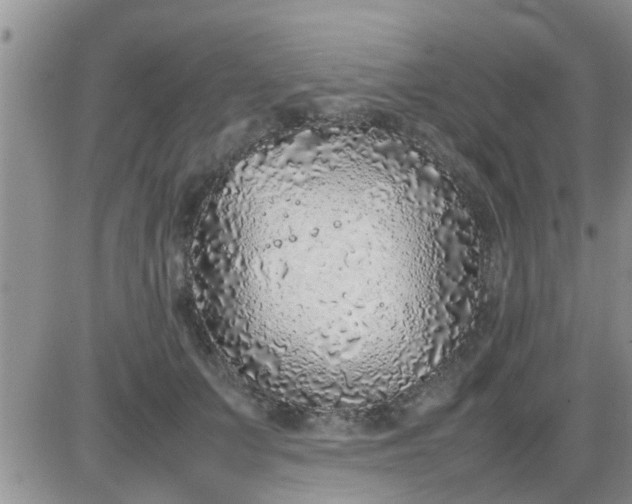 X0000085310703200703231924