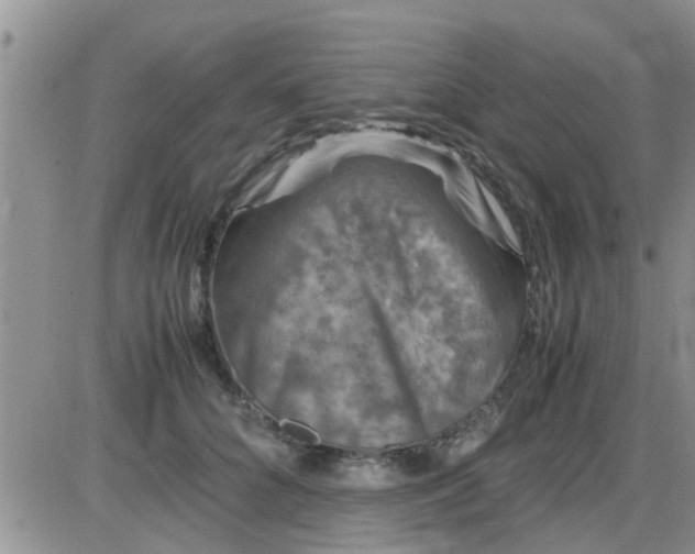 X0000085310704200703231924