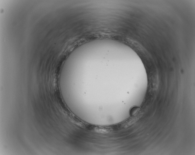 X0000085310706200703231924