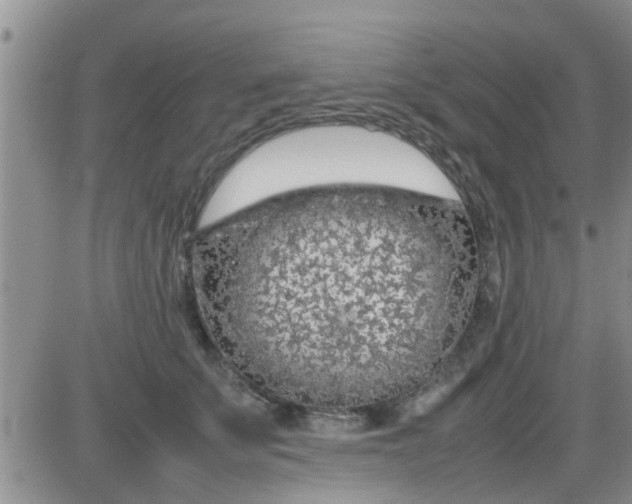 X0000085310707200703231924