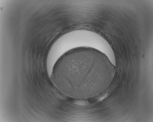 X0000085310708200703231924