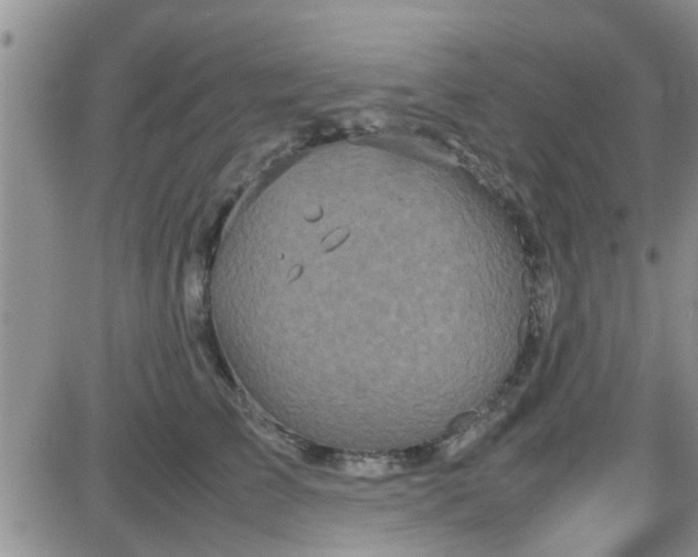 X0000085310709200703231924