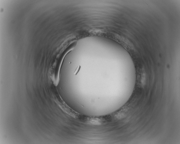 X0000085310710200703231924