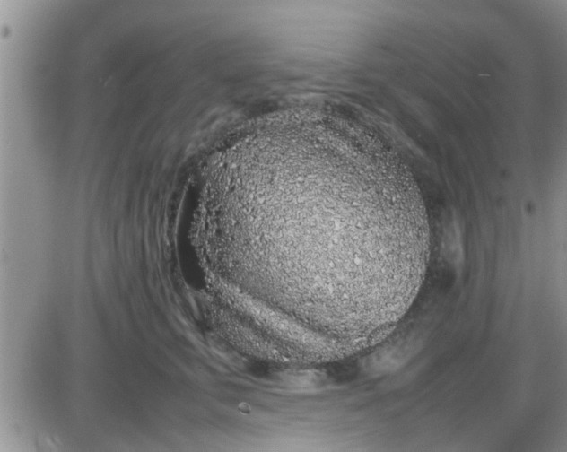 X0000085310711200703231924