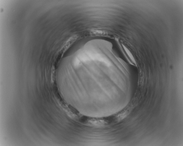 X0000085310712200703231924