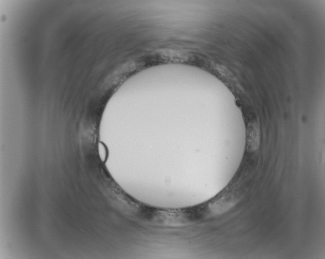 X0000085310713200703231924