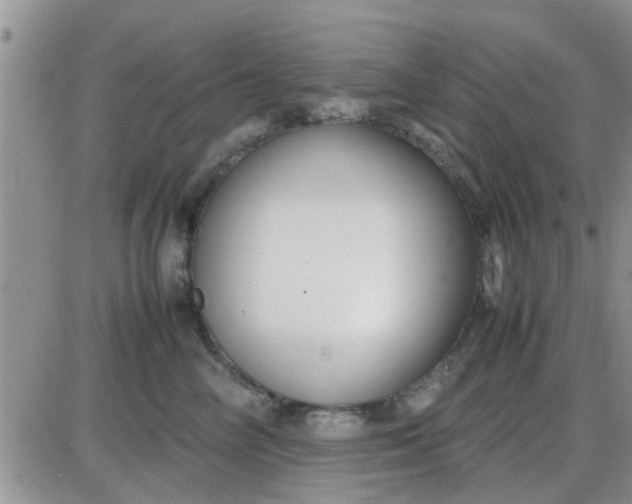 X0000085310714200703231924