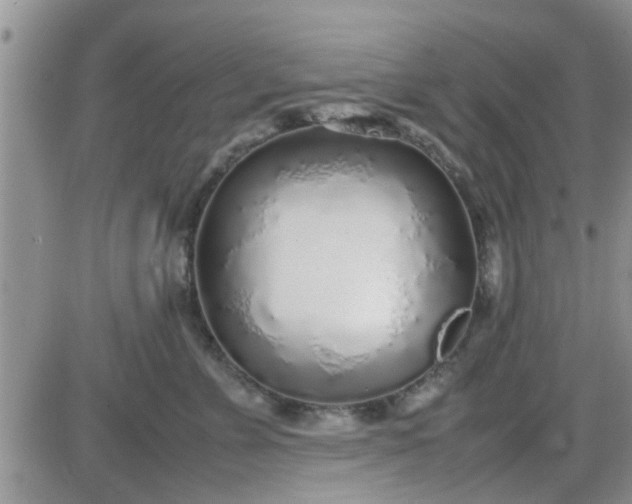 X0000085310715200703231924