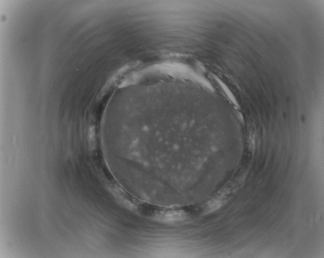 X0000085310716200703231924