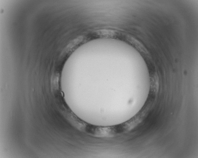 X0000085310717200703231924