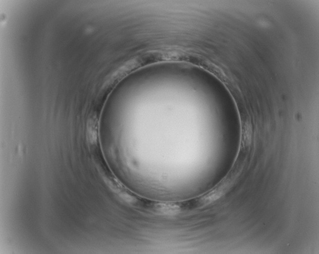 X0000085310719200703231924