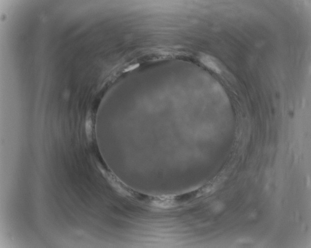 X0000085310720200703231924