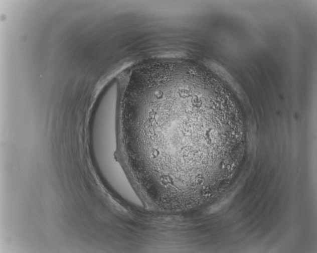 X0000085310721200703231923