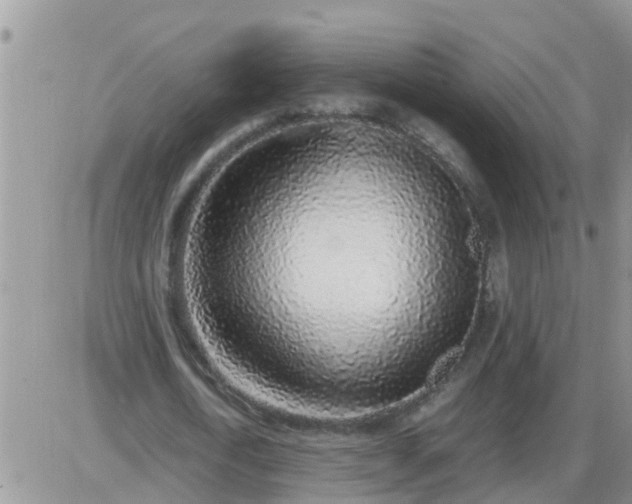 X0000085310722200703231923