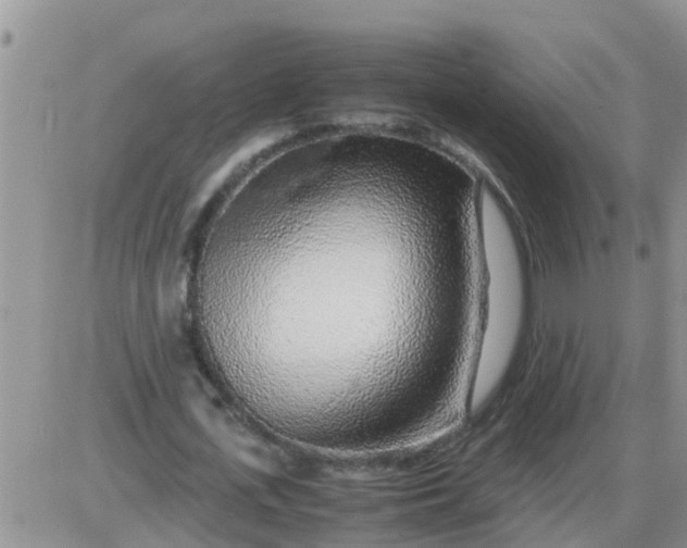 X0000085310723200703231923