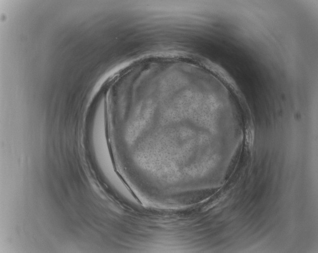 X0000085310724200703231923