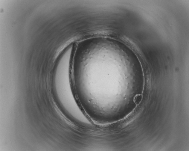 X0000085310725200703231923