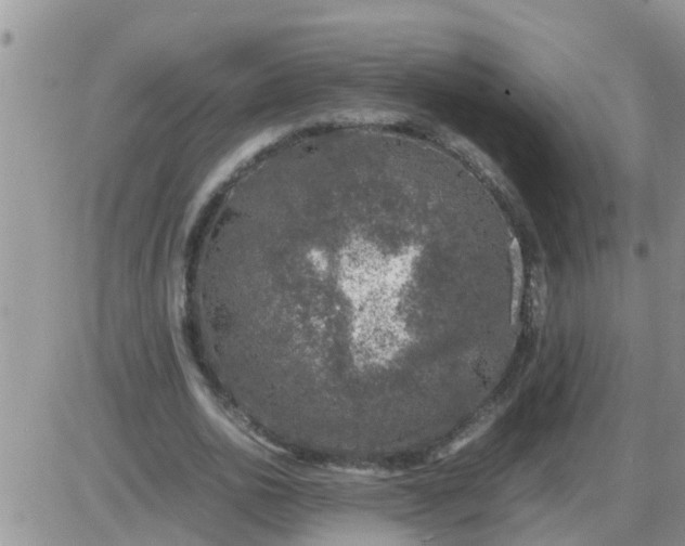 X0000085310726200703231923