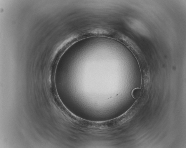 X0000085310727200703231923