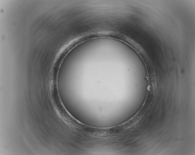 X0000085310728200703231923