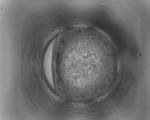 X0000085310729200703231923