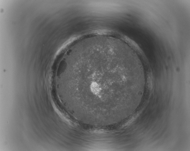 X0000085310730200703231923