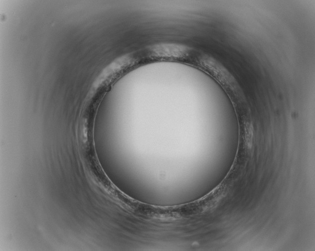 X0000085310731200703231923