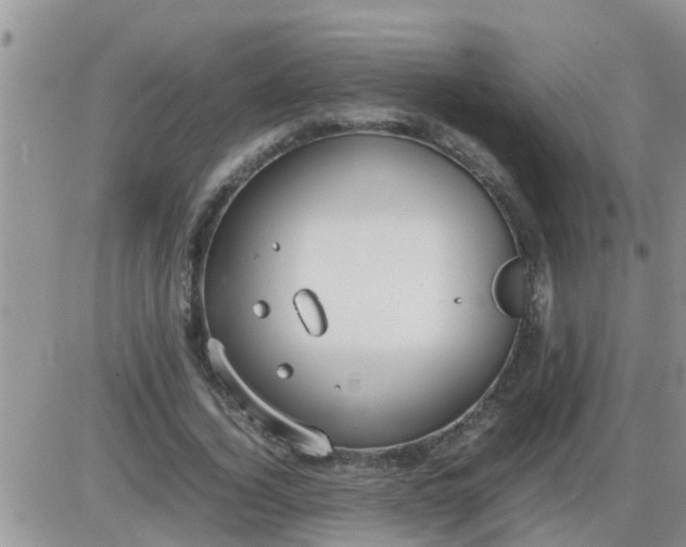 X0000085310732200703231923